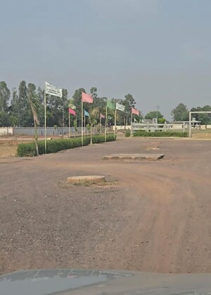 Plot Area in  Plot at Sujanpur – for Sale