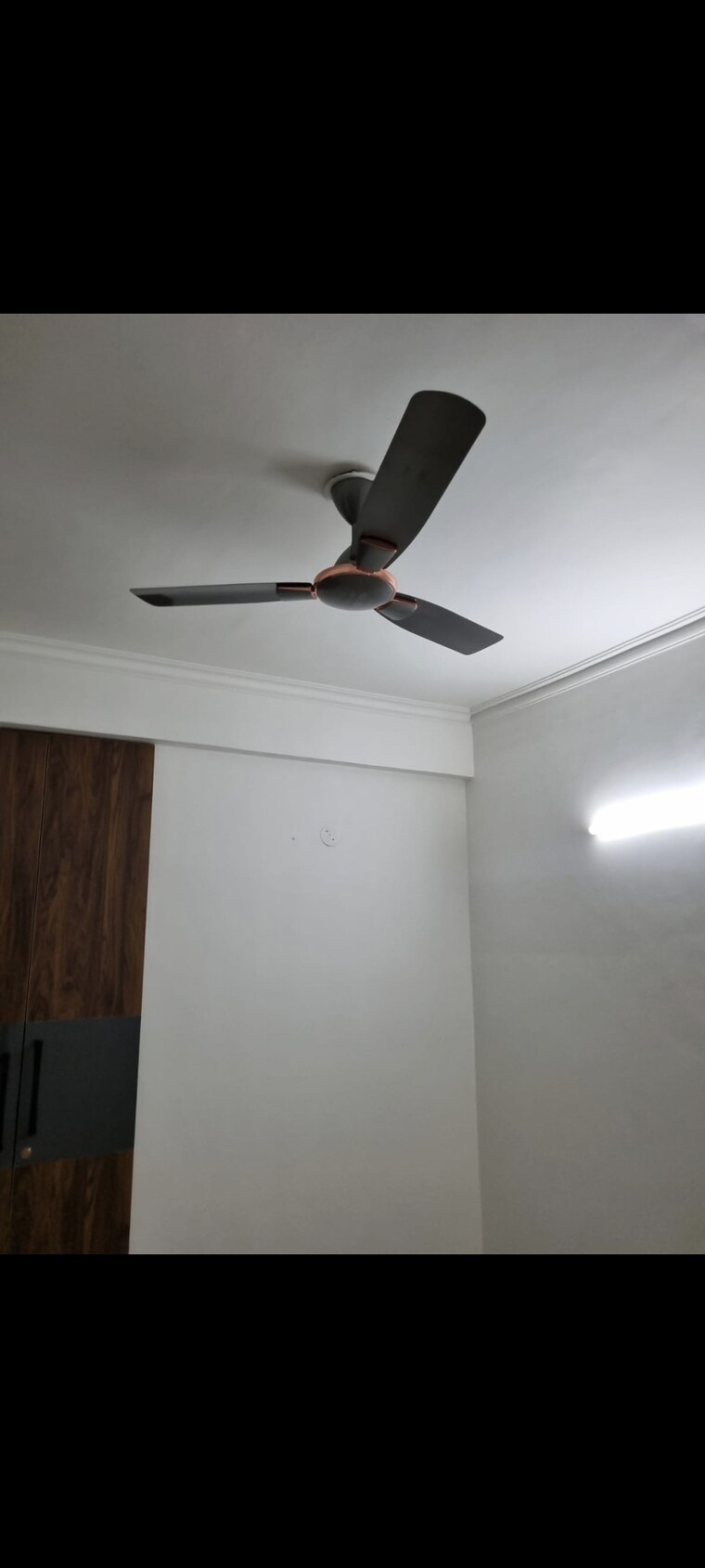 Other, paschim vihar 3 Bedroom 90 Sq.Yd. Builder Floor In Paschim Vihar Delhi 9401906