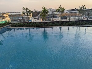 Swimming Pool in 2.5 BHK Apartment at Prestige North Point, Kammanahalli – for Rent