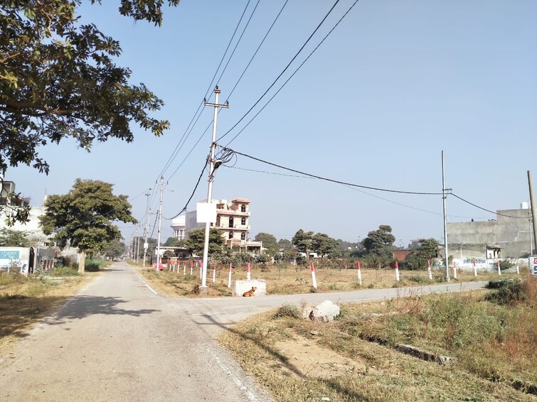 Cover Image, upsidc site c  300 Sq.Yd. Plot In Upsidc Site C Greater Noida 9402041