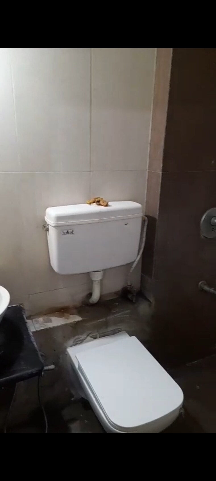 Bathroom, runwal-garden-city 3 Bedroom 1200 Sq.Ft. Apartment In Balkum Pada Thane 9402520