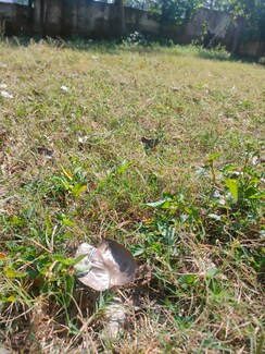 Plot For Sale in Godrej Verdania Estate