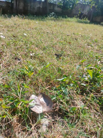  Plot For Sale in Godrej Verdania Estate, Mangaliya Sadak