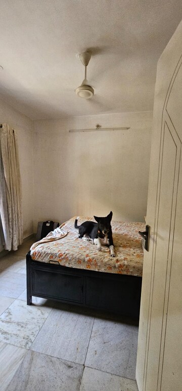 1 BHK Apartment For Rent in Shree Sumukh Heights, Oshiwara