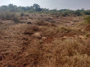  Land For Sale in Zuzuvadi