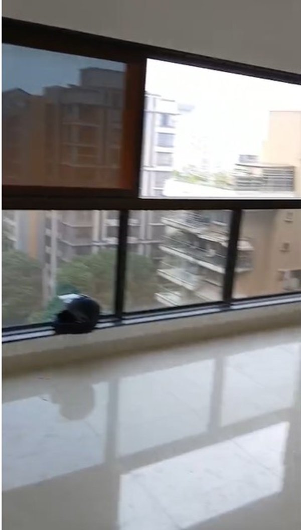 4 BHK Apartment For Rent in Best Project