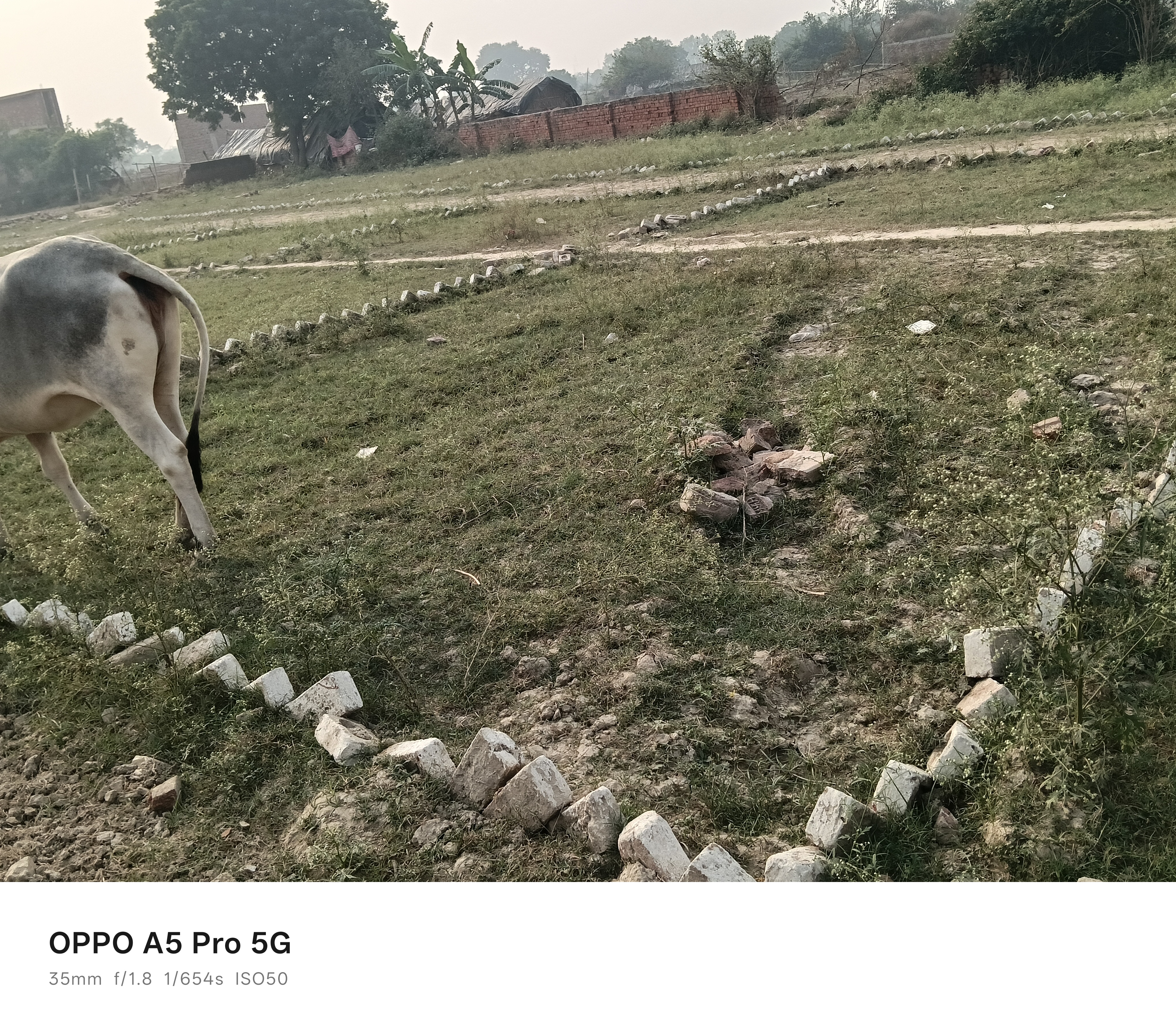 Plot For Sale in Kanchan Vihar