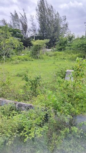  Plot For Sale in Ozar