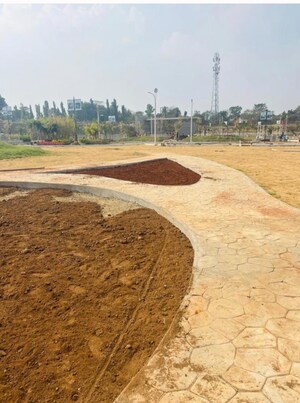 Plot Area in  Plot at Chandwaji – for Sale