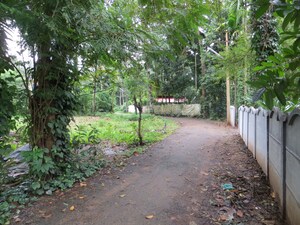  Plot For Sale in Ernakulam
