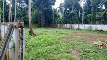  Plot – Garden View at Ernakulam - for Sale