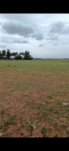 3 BHK Independent House For Sale in Masab Tank