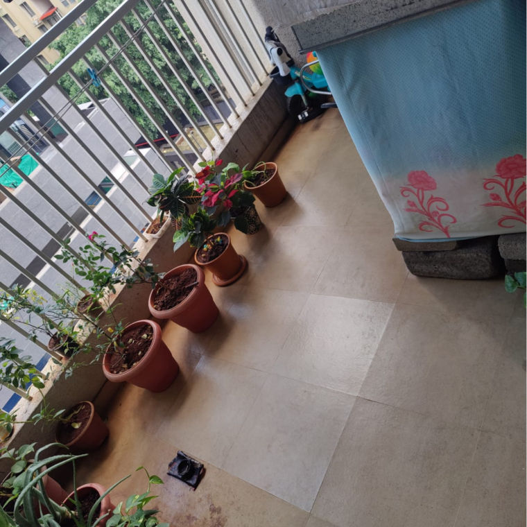 Balcony, swami-krupa-wakad 1 Bedroom 590 Sq.Ft. Apartment In Shahunagar Pune 9405061
