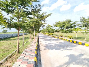  Plot – Exterior View View at Thimmapur - for Sale