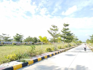  Plot For Sale in Thimmapur