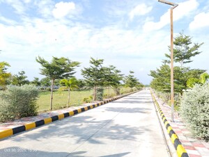 Plot Area in  Plot at Thimmapur – for Sale