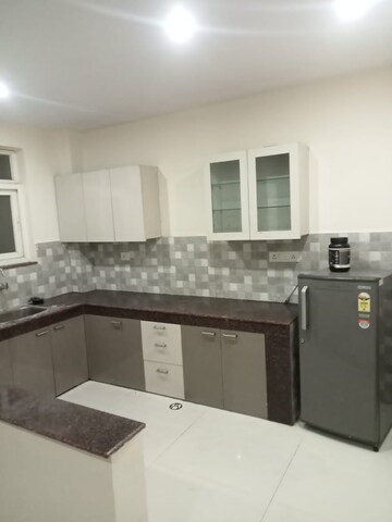 Kitchen in 2 BHK Builder Floor at Sector 40 – for Rent