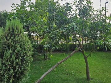  Plot – Garden View at Swaraaj The Villagio, Mohanlalganj - for Sale