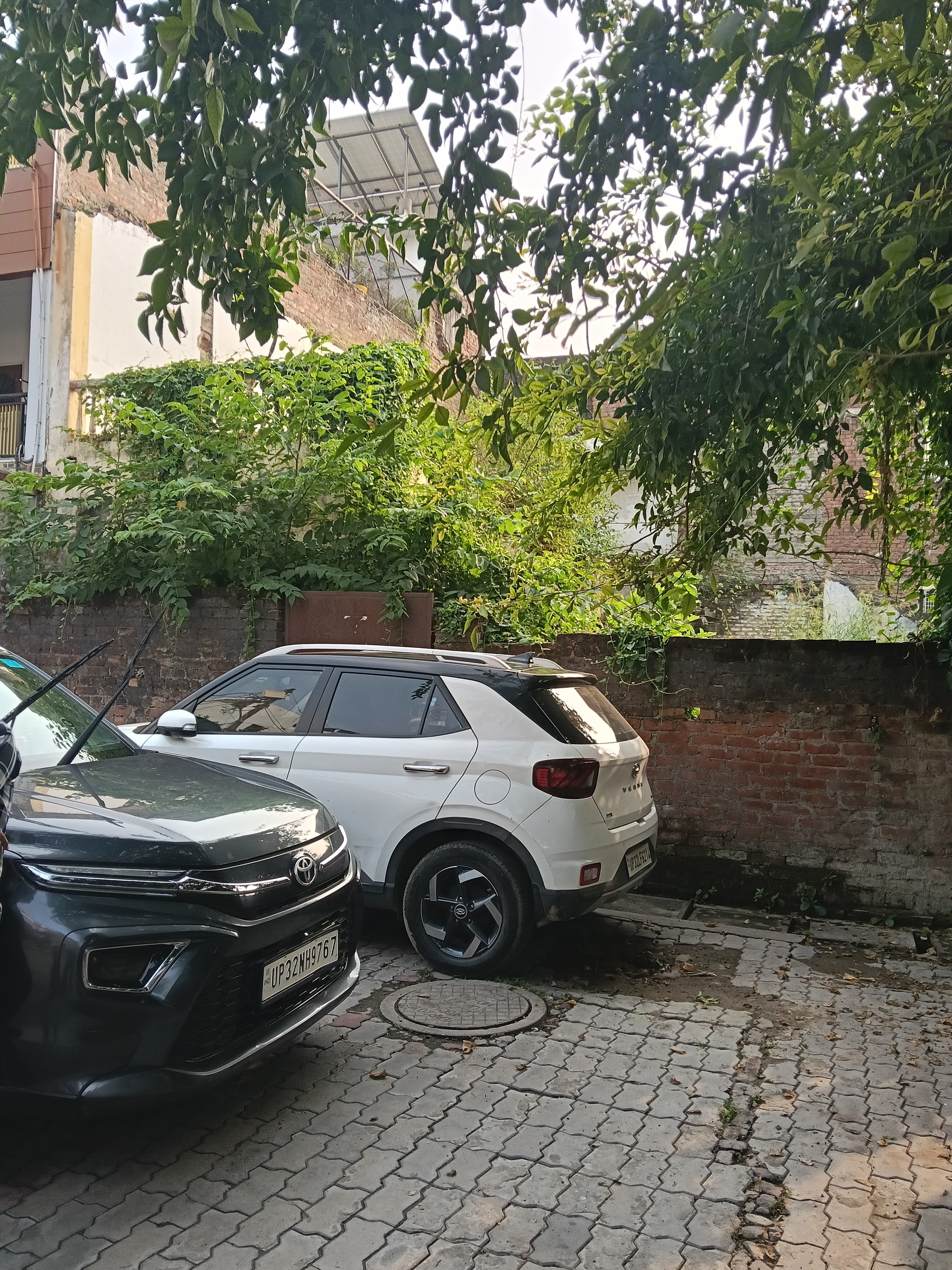 Plot For Sale in Aliganj