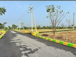 1200 Sq.Yd. Plot in Navya