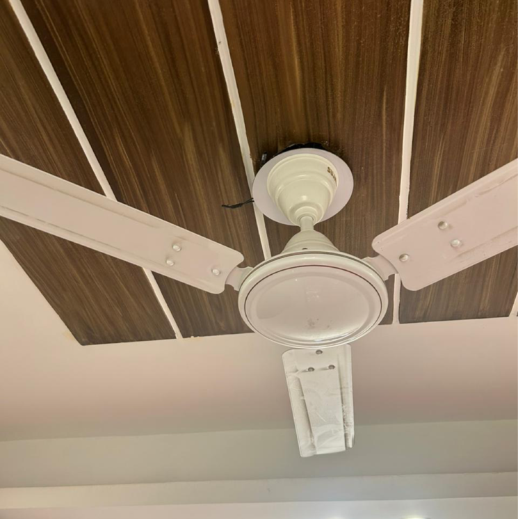 undefined, chattarpur 1 Bedroom 150 Sq.Ft. Builder Floor In Chattarpur Delhi 9406197