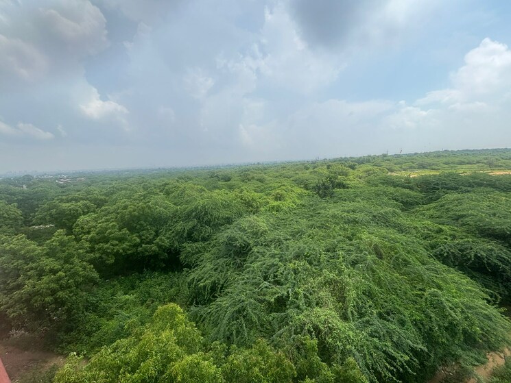 Garden, saket 1 Bedroom 500 Sq.Ft. Builder Floor In Saket Delhi 9406318