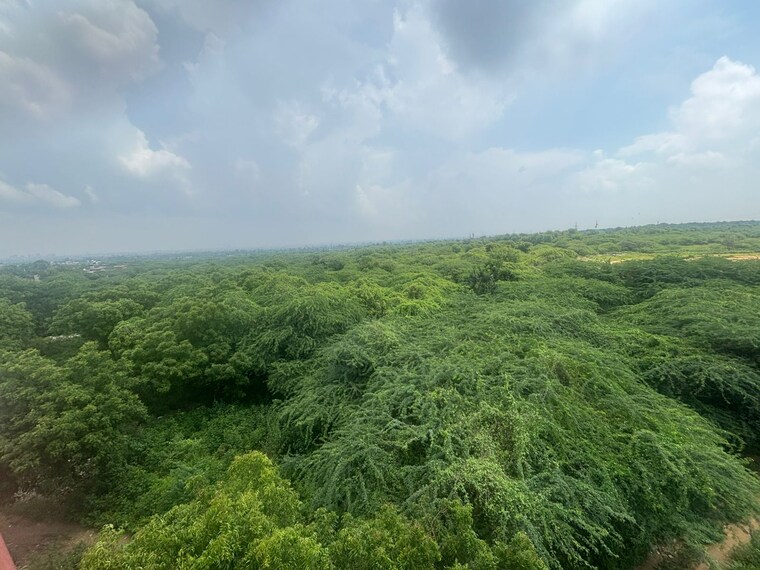 Garden, saket 1 Bedroom 500 Sq.Ft. Builder Floor In Saket Delhi 9406318