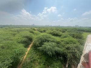 Plot Area in 1 BHK Builder Floor at Saket – for Rent