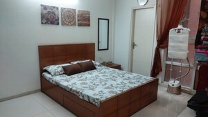 3 BHK Apartment For Rent in Tulip Violet, Sector 69