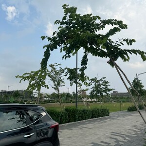 Parking in 3 BHK Builder Floor at Tdi City – for Sale