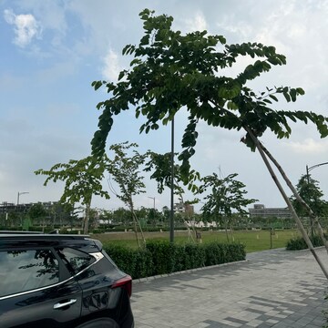 Parking in 3 BHK Builder Floor at Tdi City – for Sale