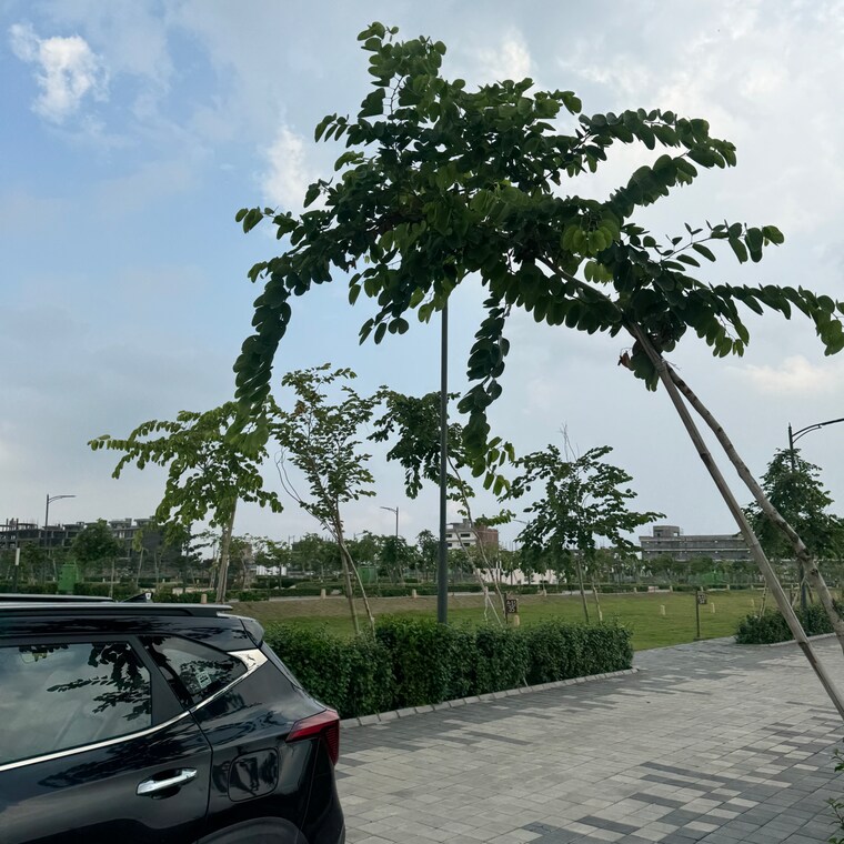  Parking, tdi city 3 Bedroom 140 Sq.Yd. Builder Floor In Tdi City Panipat 9406405