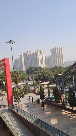  Office Space For Rent in Gaur City Mall, Sector 4 Greater Noida