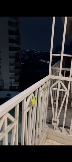 2 BHK Apartment For Rent in Gaur City 7th Avenue, Sector 4 Greater Noida