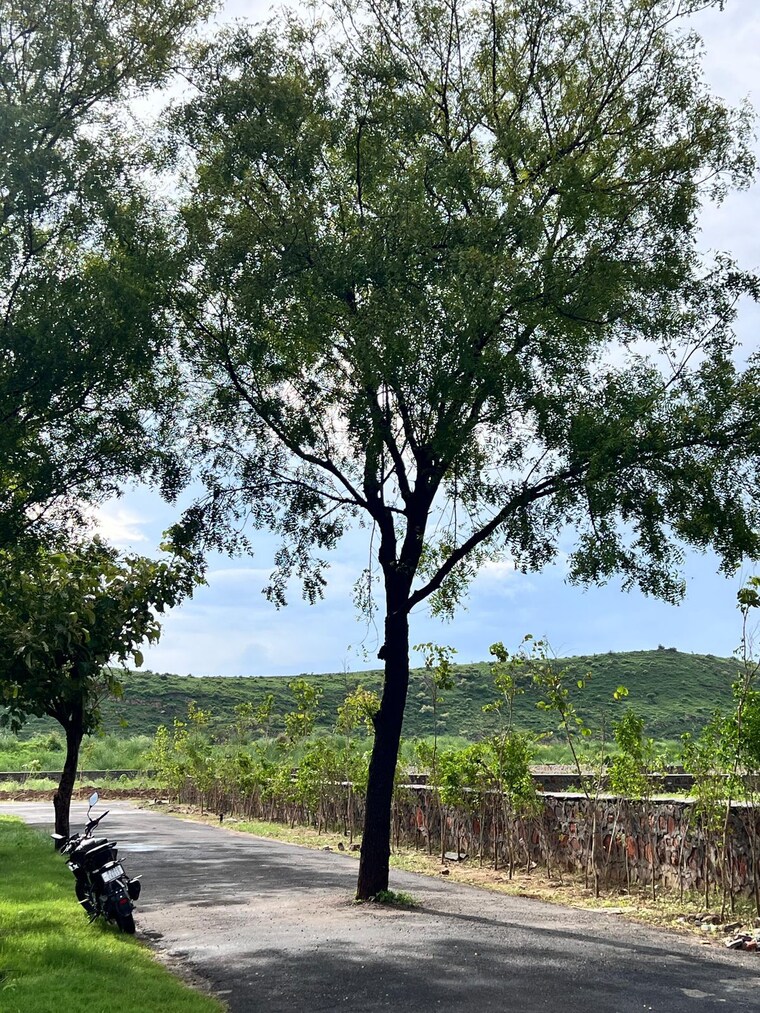 undefined, naugaon  1500 Sq.Ft. Plot In Naugaon Alwar 9407151