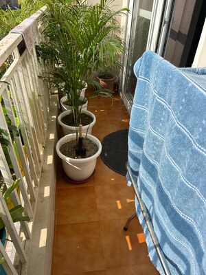 Balcony in 3 BHK Apartment at Gomti Homes, Nabha – for Sale