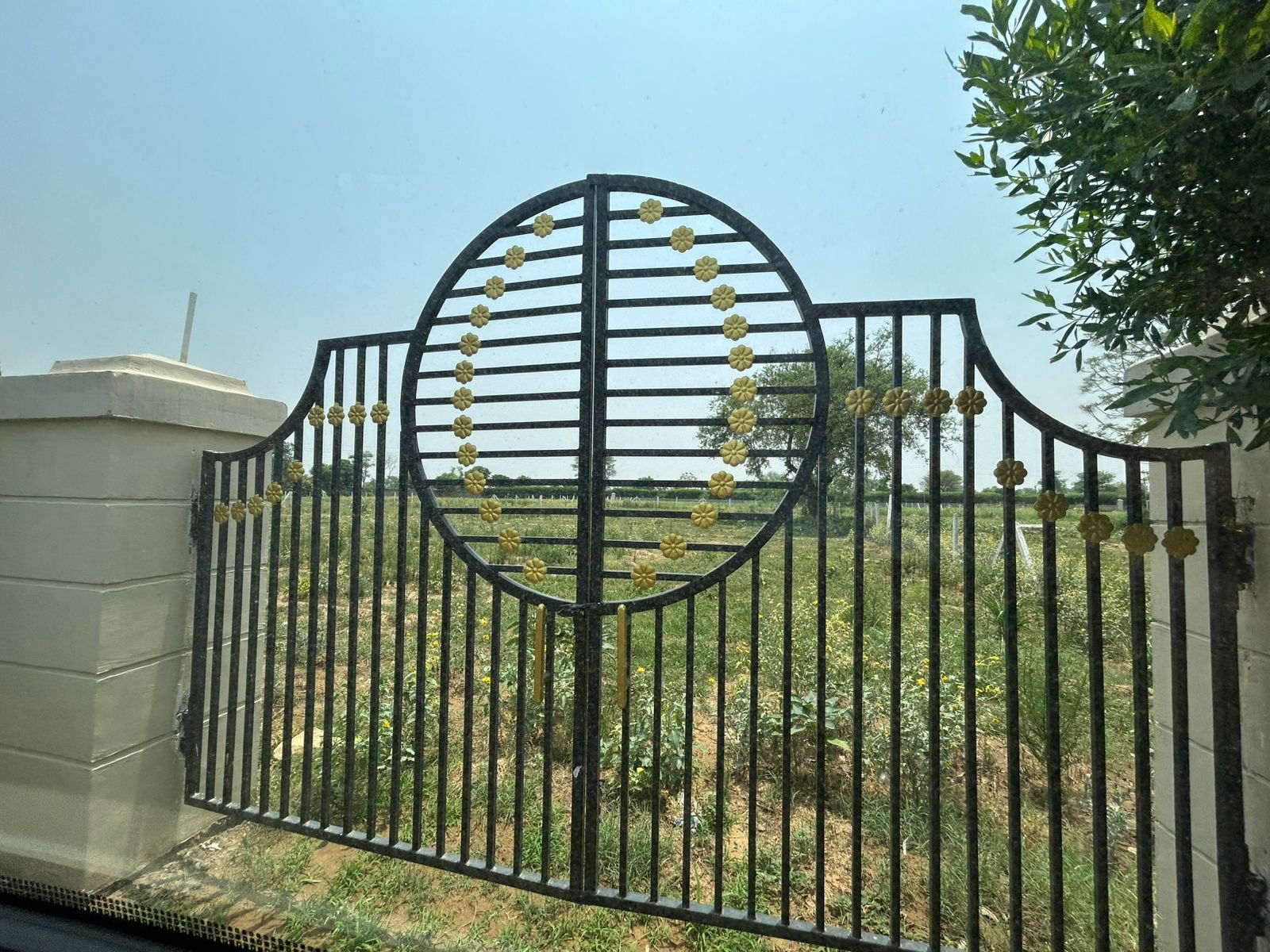 Plot For Sale in Naugaon