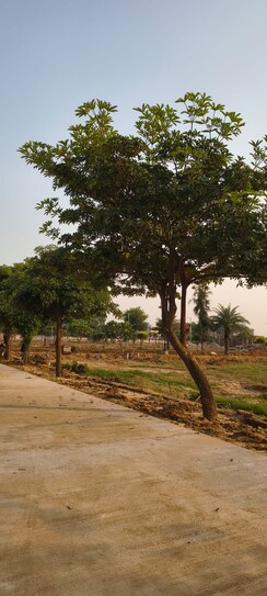 Plot For Sale in Sujanpur