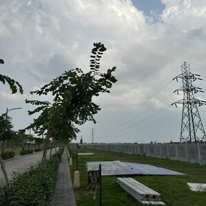 3 BHK Builder Floor For Sale in Tdi City