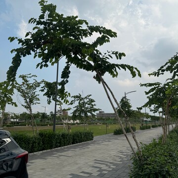 3 BHK Builder Floor – Garden View at Tdi City - for Sale