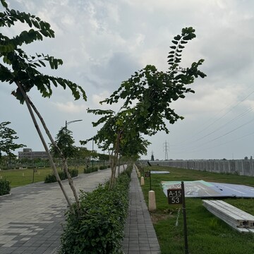 3 BHK Builder Floor – Exterior View View at Tdi City - for Sale