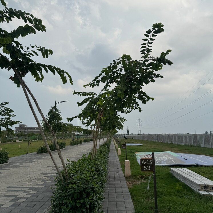 Exterior View, tdi city 3 Bedroom 140 Sq.Yd. Builder Floor In Tdi City Panipat 9408189