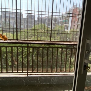 Balcony in 3 BHK Builder Floor at Chattarpur – for Rent