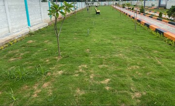  Plot – Garden View at Poosaripatti - for Sale