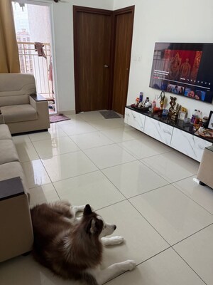 2 BHK Apartment For Rent in Prestige Finsbury Park Hyde, Bagaluru