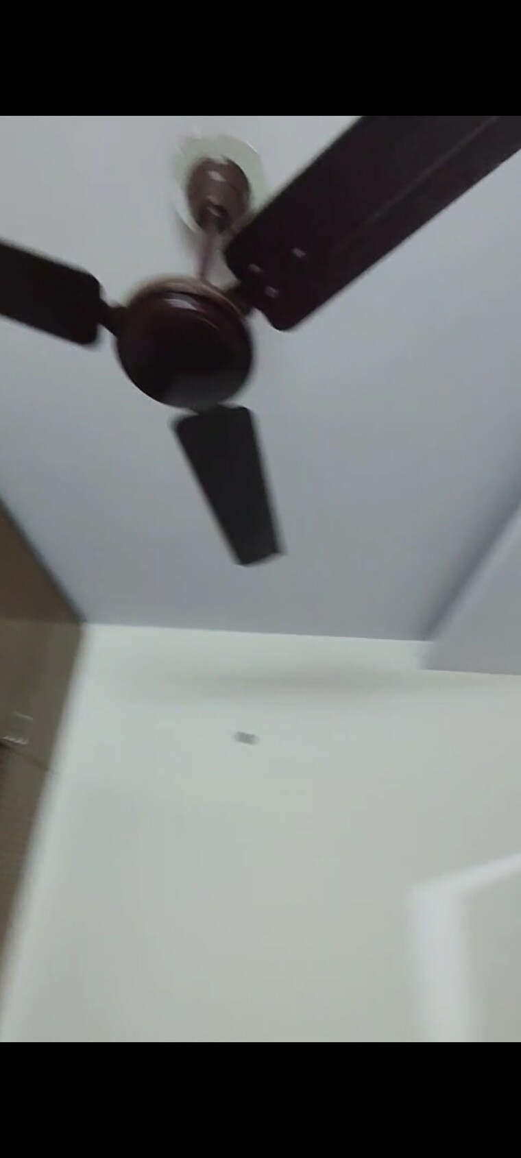 undefined, shalimar bagh 1 Bedroom 700 Sq.Ft. Builder Floor In Shalimar Bagh Delhi 9409251