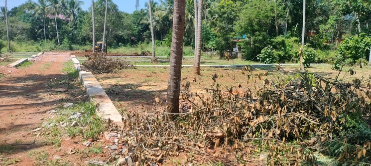 undefined, mannuthy  3920 Sq.Ft. Plot In Mannuthy Thrissur 9409460