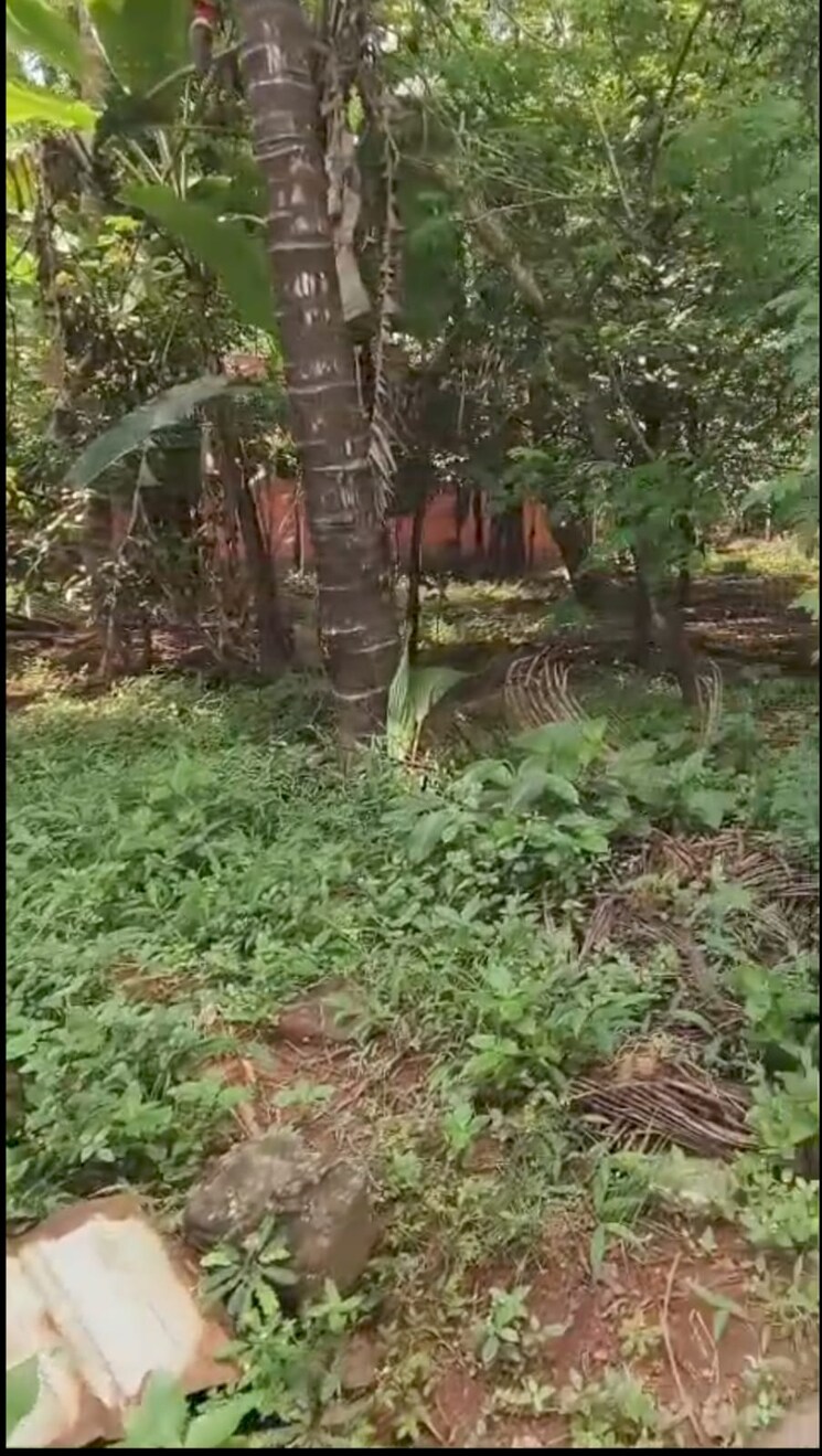 Garden, mannuthy  39204 Sq.Ft. Plot In Mannuthy Thrissur 9409477