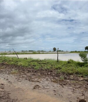 Plot Area in  Plot at Pipali Highway – for Sale