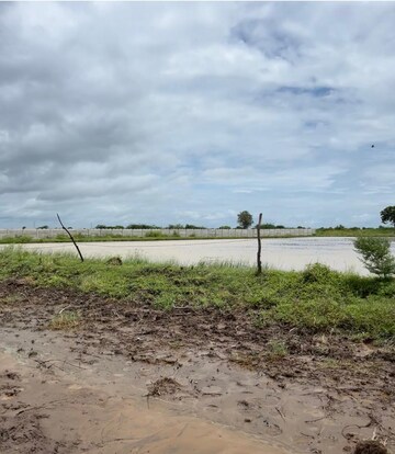 Plot Area in  Plot at Pipali Highway – for Sale